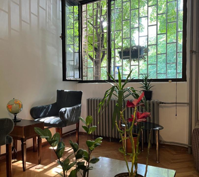 Photo of Livingroom in Palilula