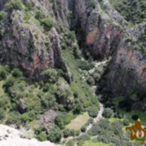 Photo of Others in Bouadel