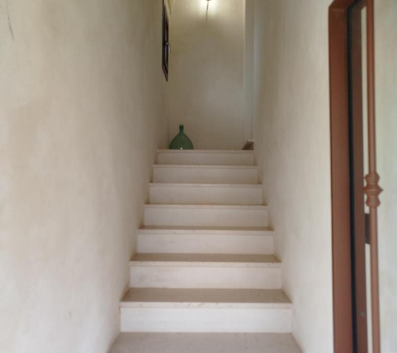 Photo of Others in Torre Santa Susanna