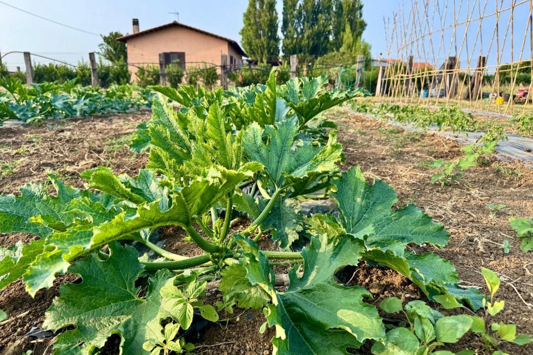 Photo of Outdoor in Tarquinia