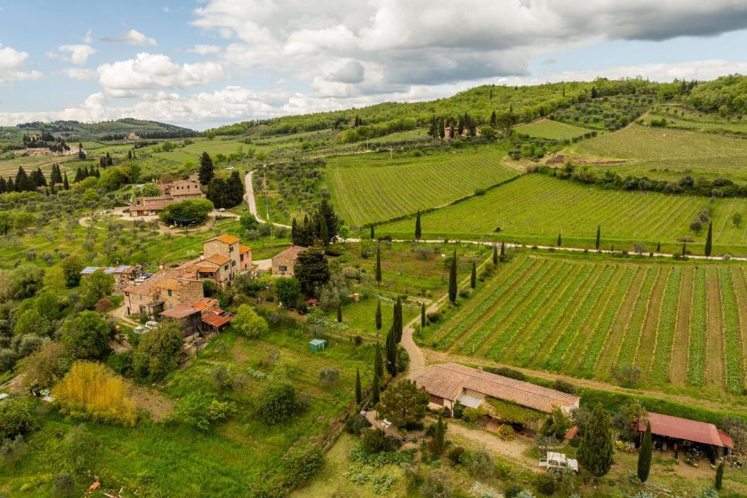 Photo of Others in Greve in Chianti