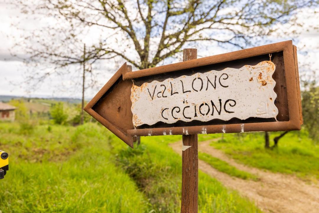 Photo of Others in Greve in Chianti