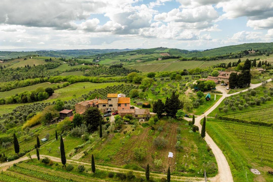 Photo of Others in Greve in Chianti