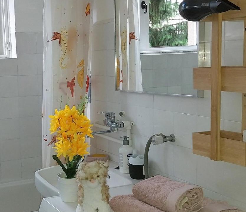 Photo of Bathroom in Kursumlija