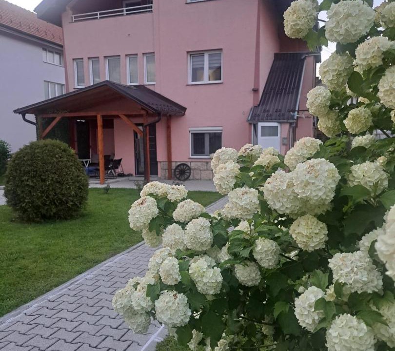 Photo of Others in Sjenica