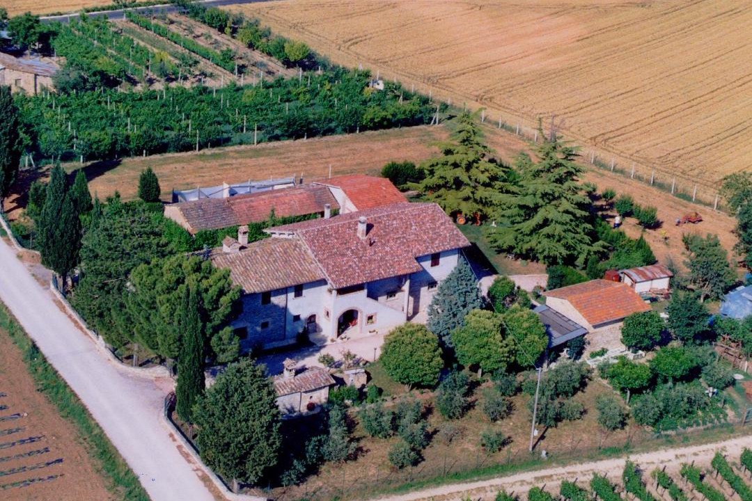 Photo of Others in Bettona