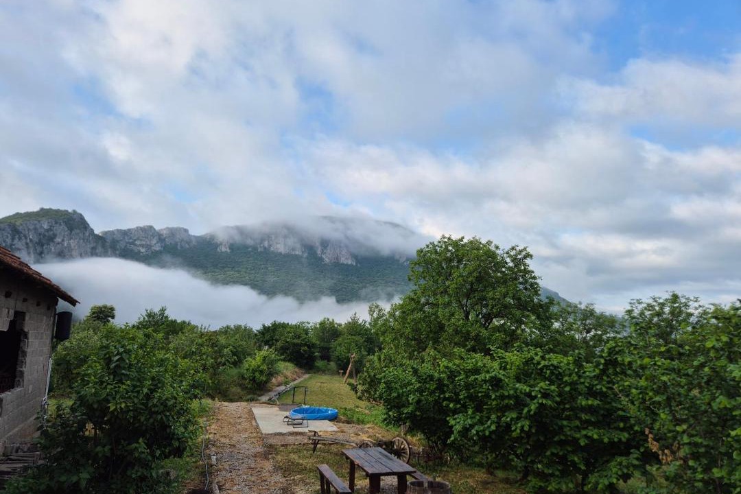 Photo of Others in Sicevo