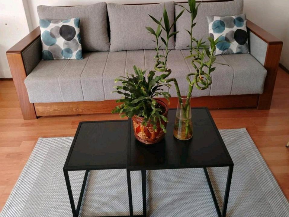 Photo of Livingroom in Rakovica