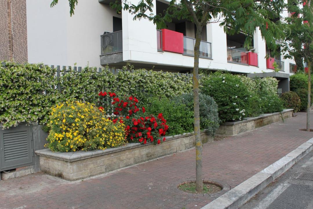 Photo of Buildings in Rome Province