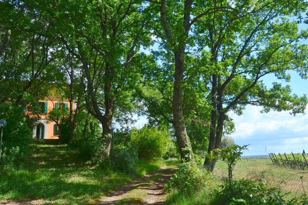 Photo of Others in Montefiridolfi