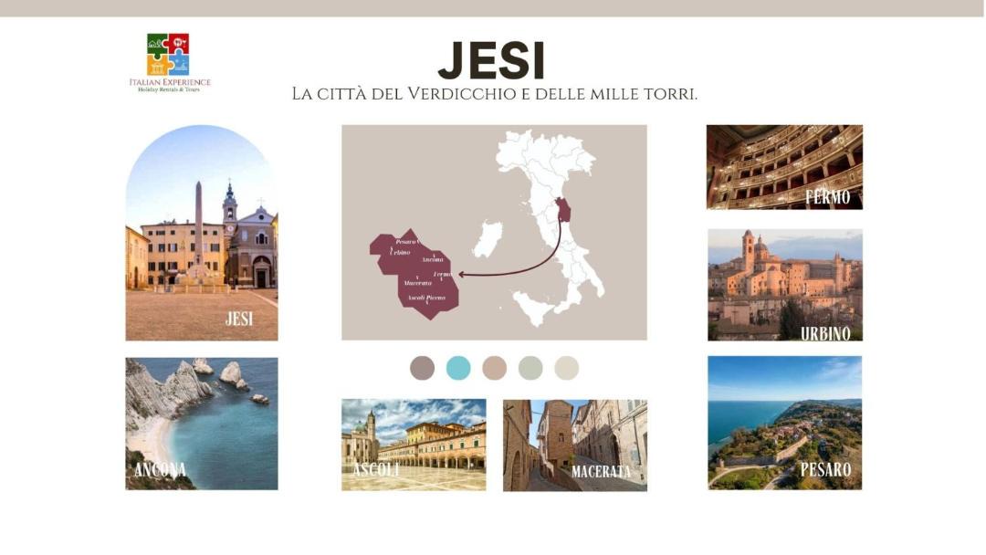 Photo of Others in Jesi