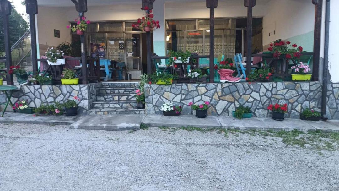 Photo of Others in Bajina Basta