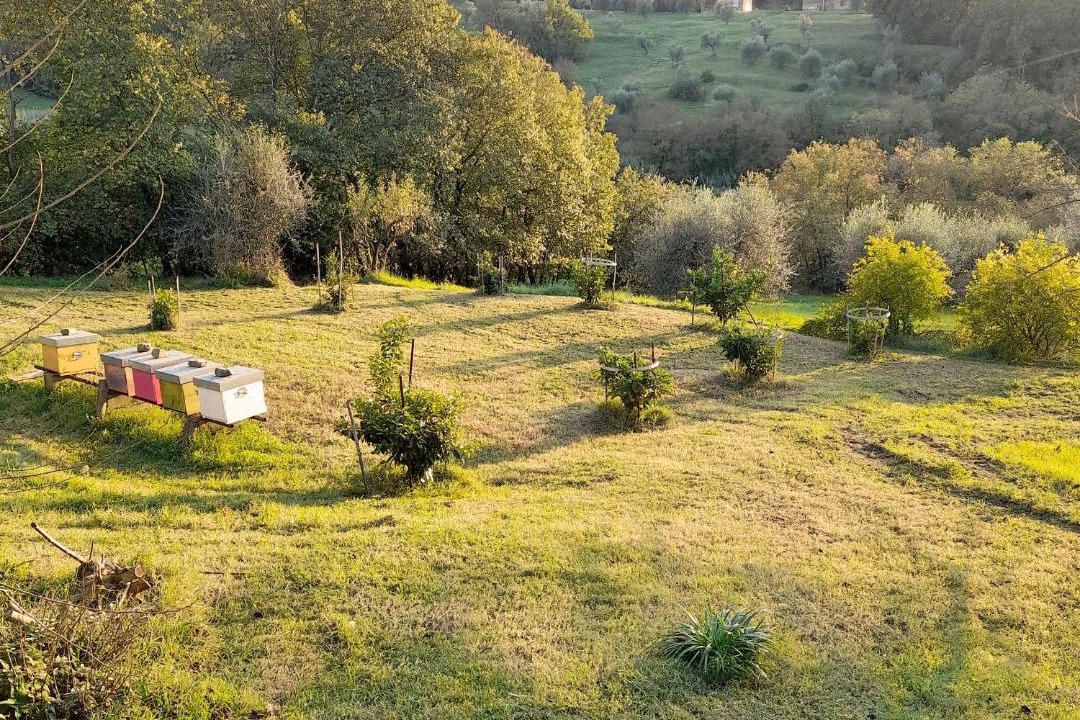 Photo of Others in Lastra a Signa