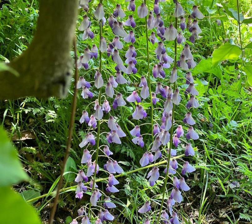Photo of Outdoor in Le Piazze