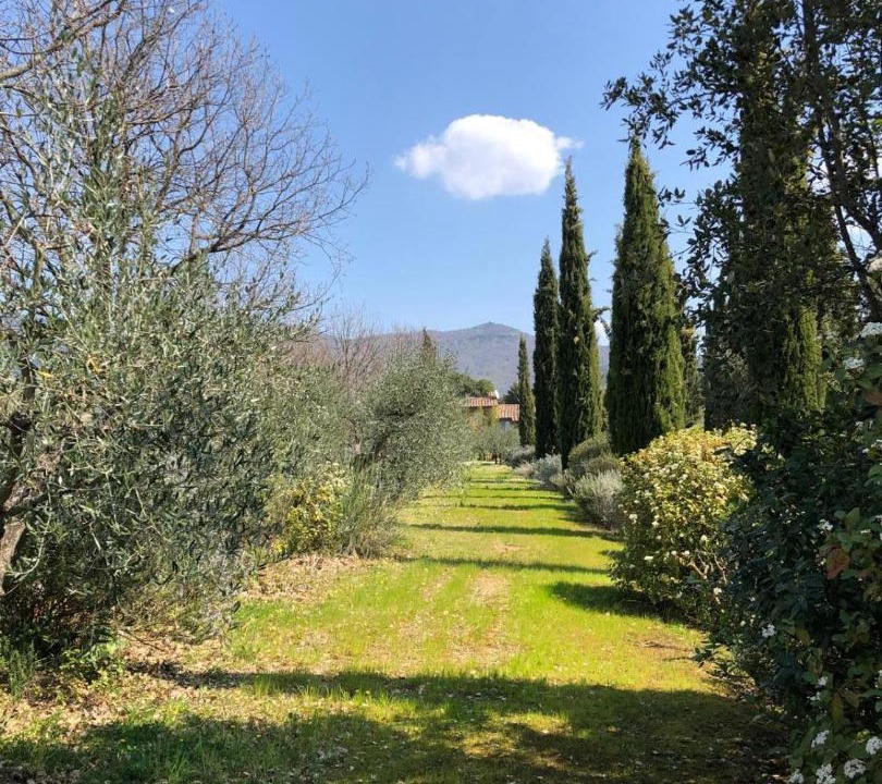 Photo of Outdoor in Le Piazze