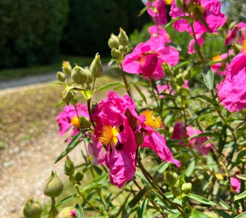 Photo of Outdoor in Le Piazze