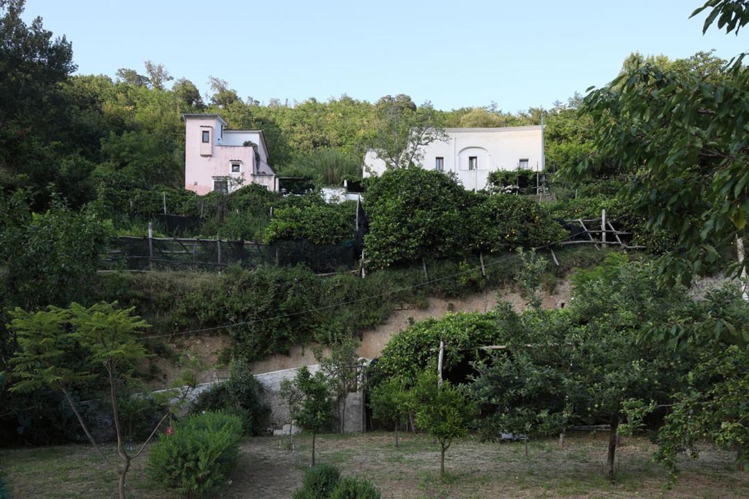 Photo of Others in Pucara
