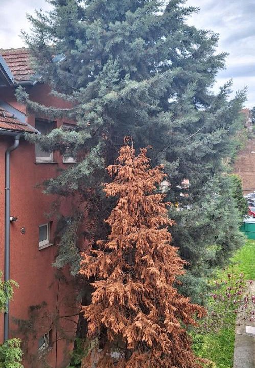 Photo of Outdoor in Arandelovac