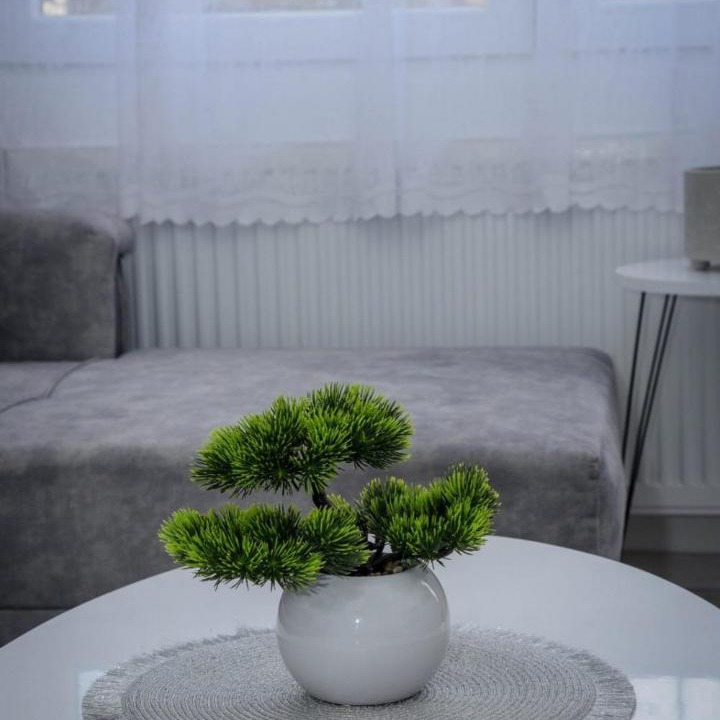 Photo of Livingroom in Pirot