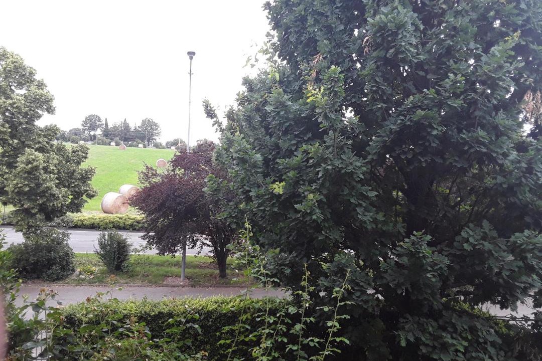 Photo of Others in Maranello
