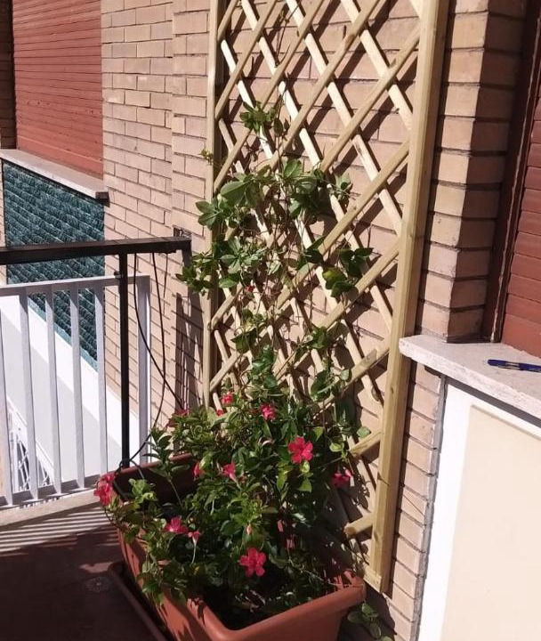Photo of Patio Balcony in Trionfale