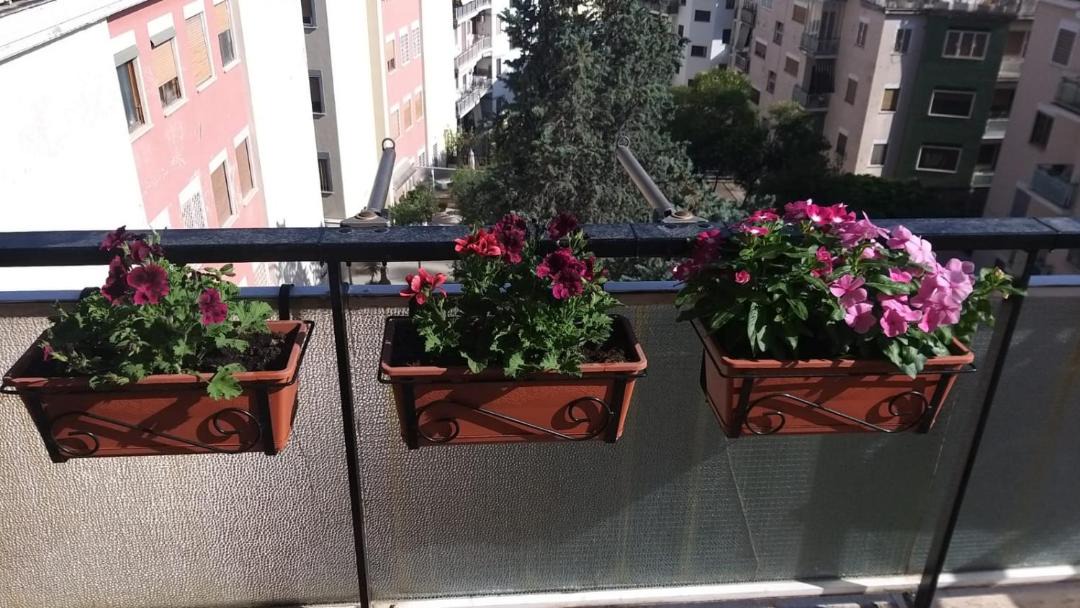 Photo of Patio Balcony in Trionfale