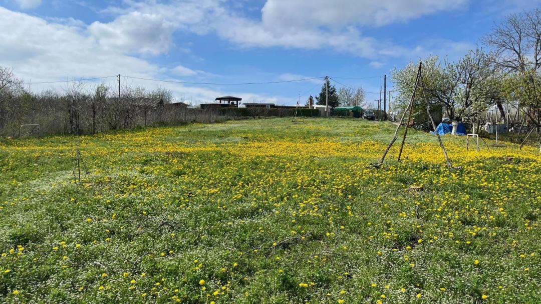 Photo of Outdoor in Jagodina