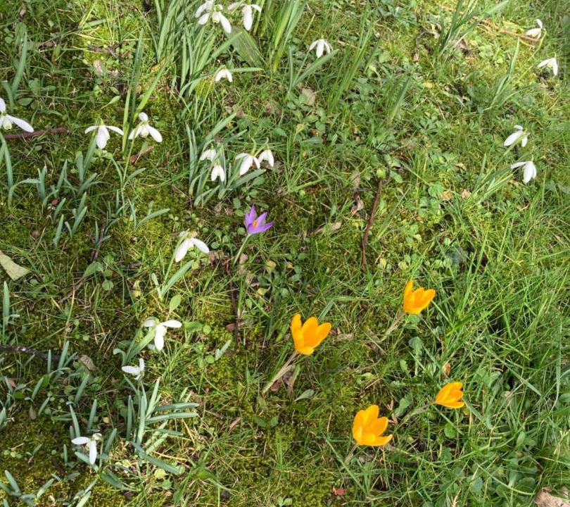 Photo of Outdoor in Lenaderg