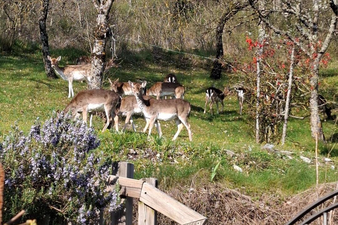 Photo of Others in Moggiana