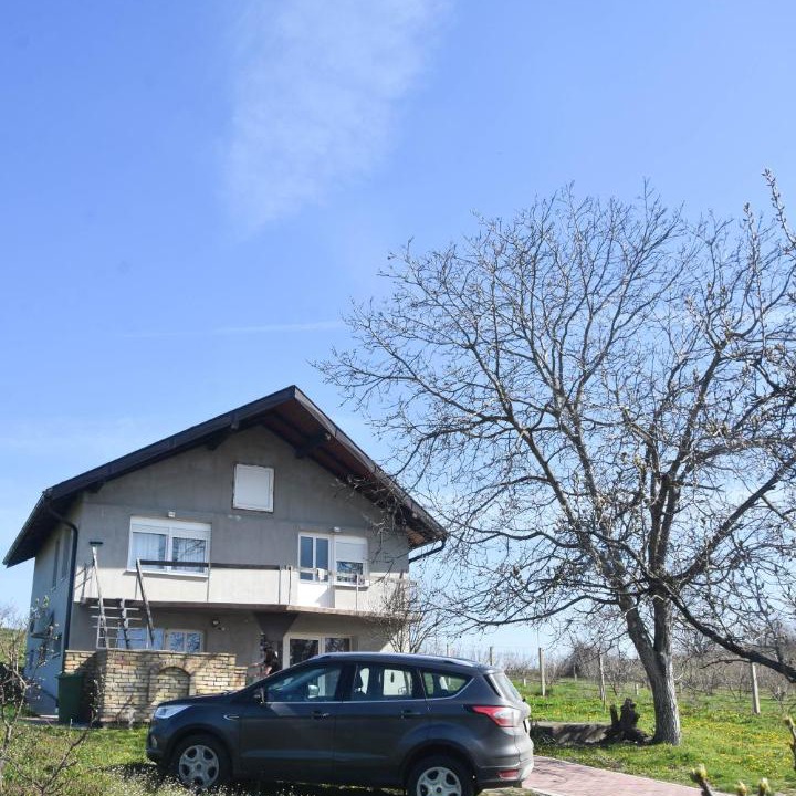 Photo of Others in Vojvodina