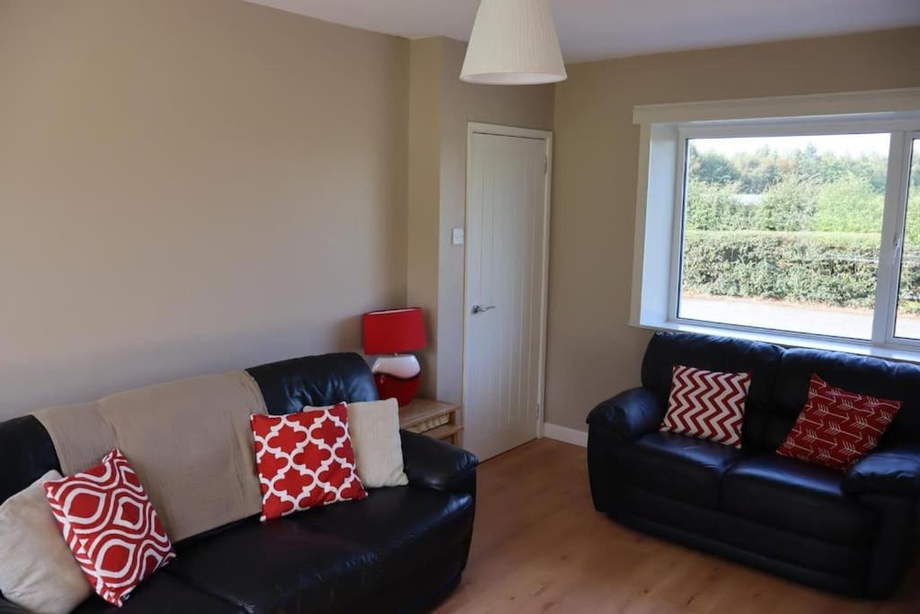 Photo of Livingroom in Armagh