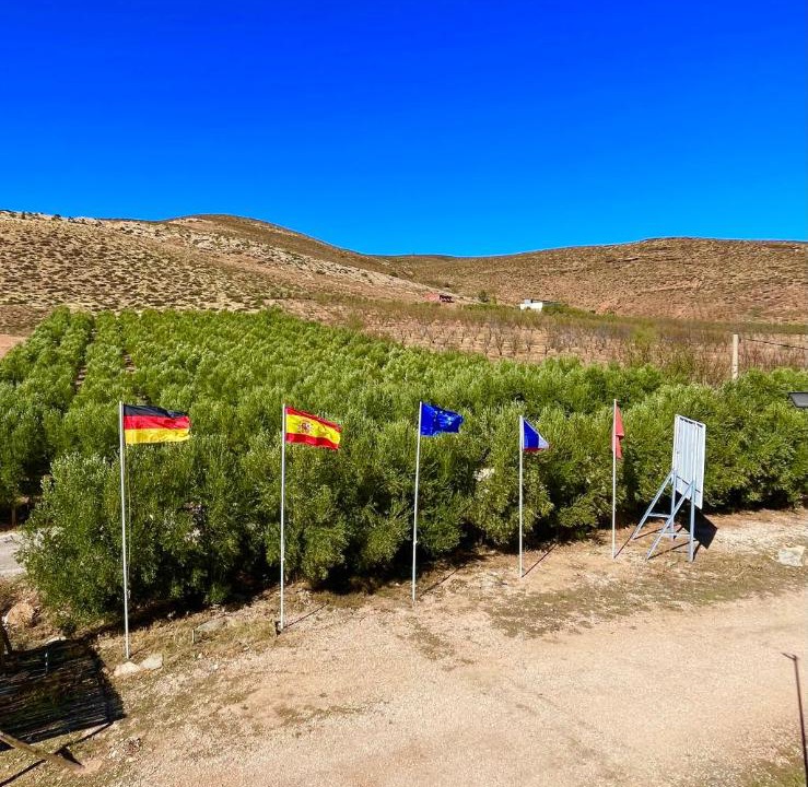 Photo of Others in Tigrigra