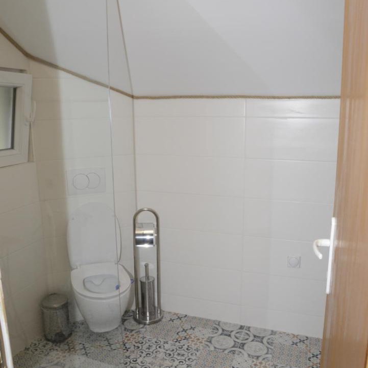 Photo of Bathroom in Donji Milanovac