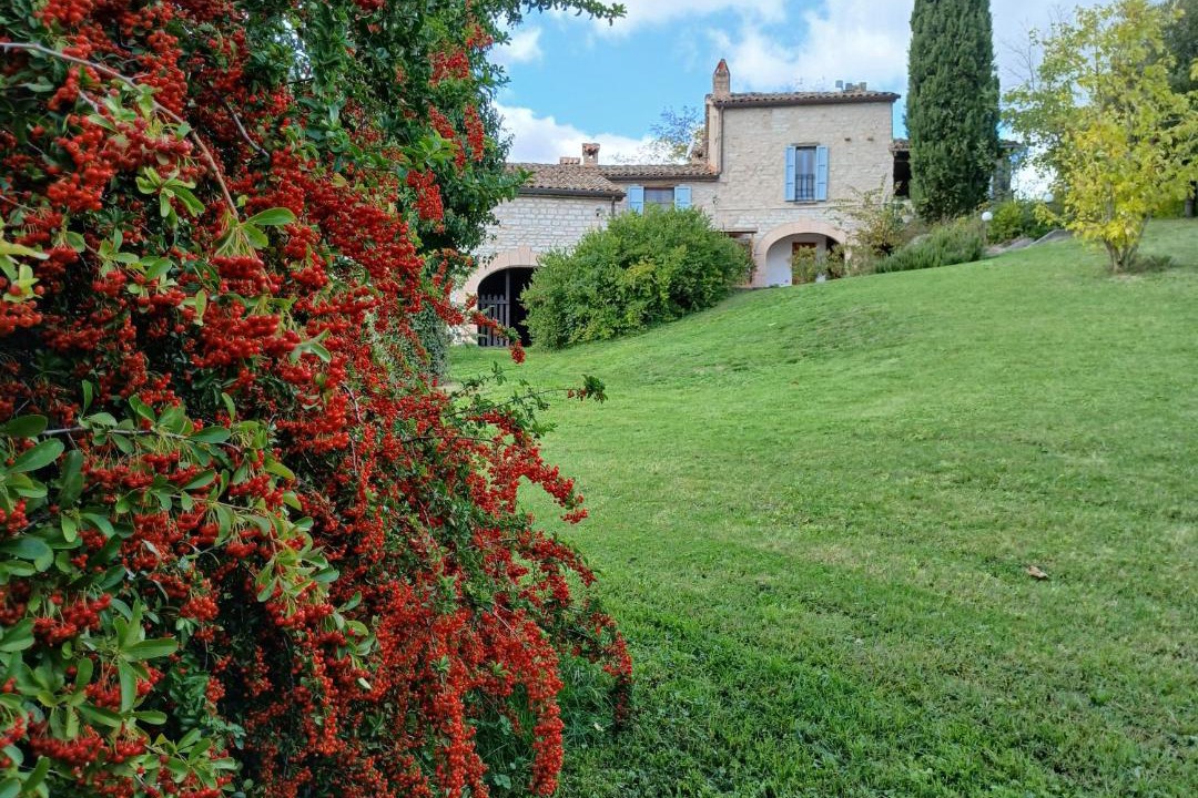 Photo of Others in Acqualagna