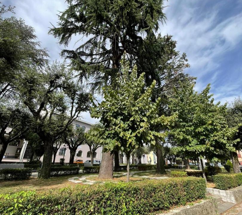 Photo of Others in Sant'Arsenio