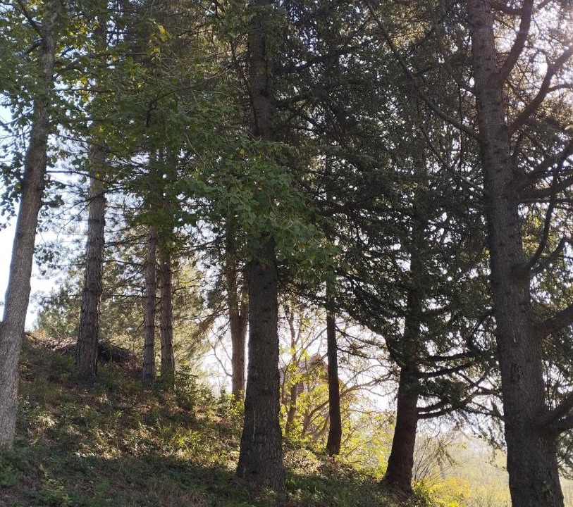 Photo of Outdoor in Petrovaradin