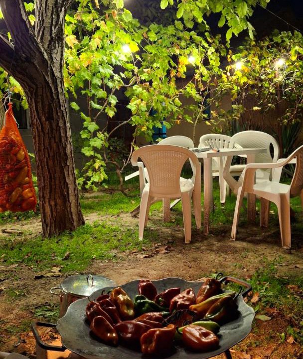Photo of Outdoor in Novi Becej