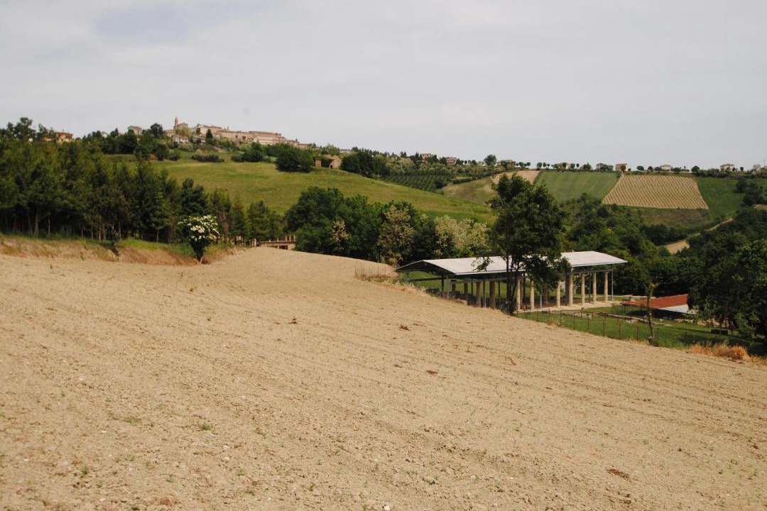 Photo of Others in Monte Rinaldo