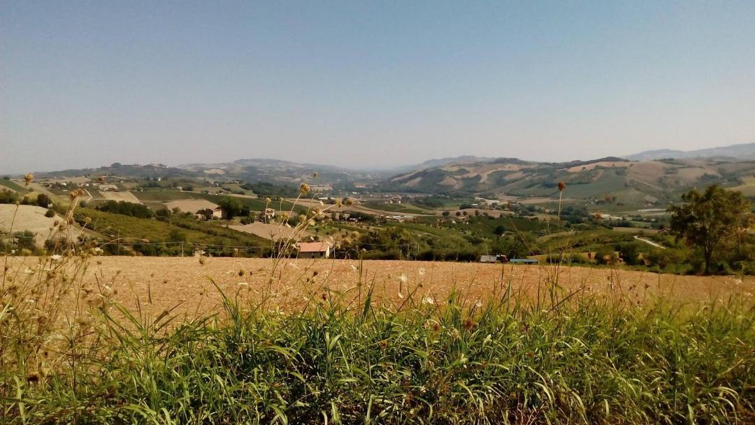 Photo of Others in Monte Rinaldo
