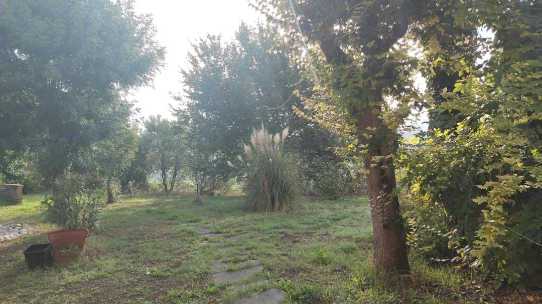 Photo of Outdoor in Bettolelle
