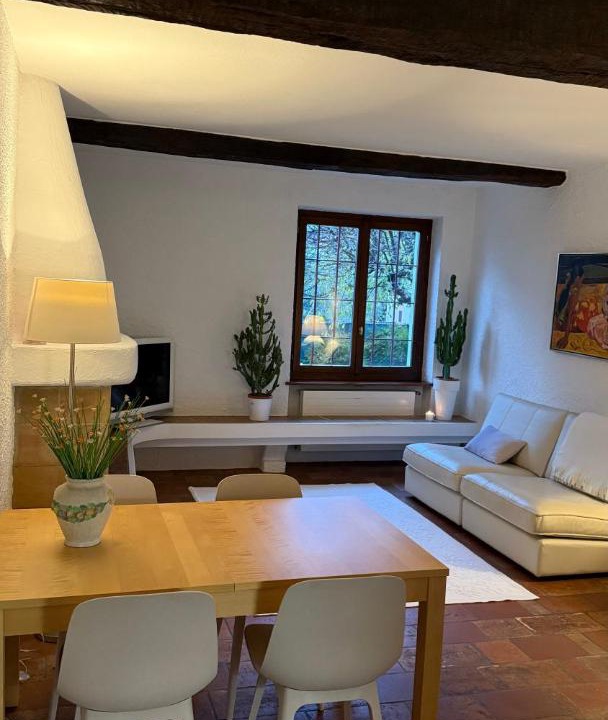 Photo of Livingroom in Morbio Inferiore