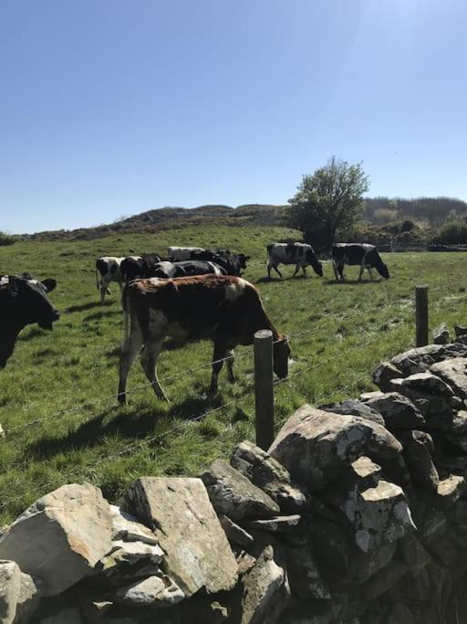 Photo of Others in Strangford
