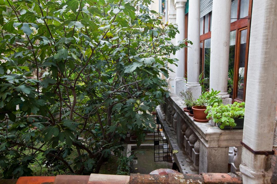 Photo of Patio Balcony in Castello