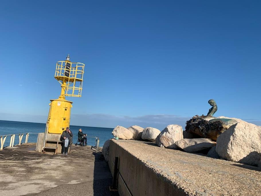 Photo of Others in Senigallia