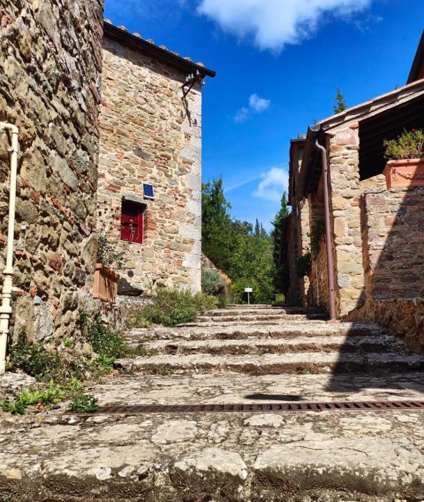 Photo of Others in Gaiole in Chianti