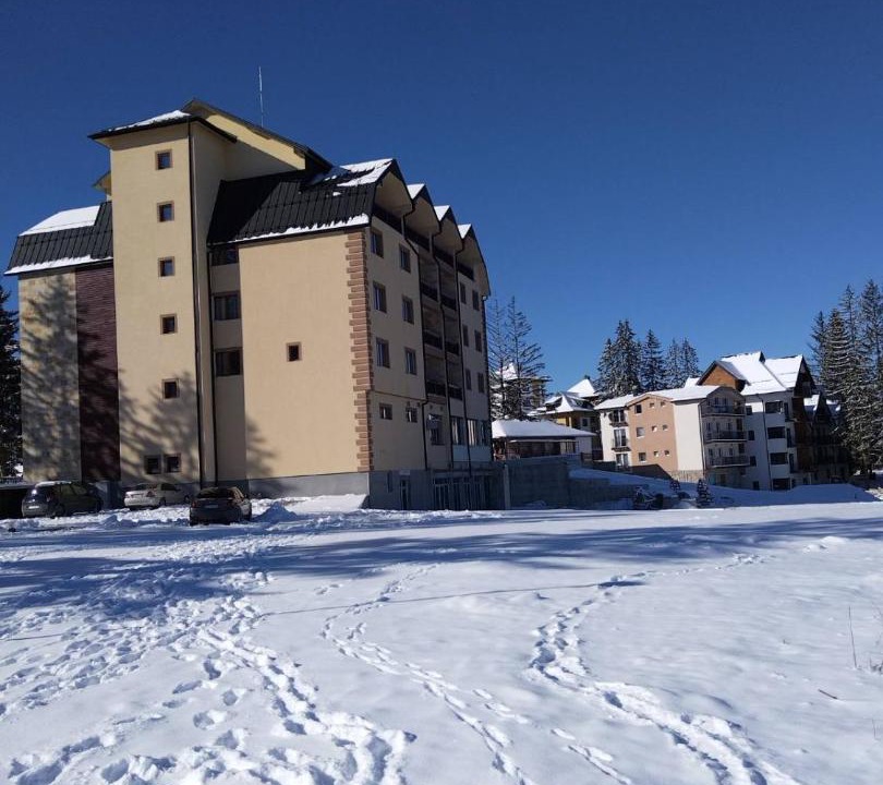Photo of Others in Zlatibor