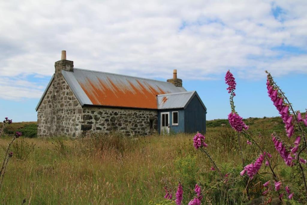Photo of Others in Ulva
