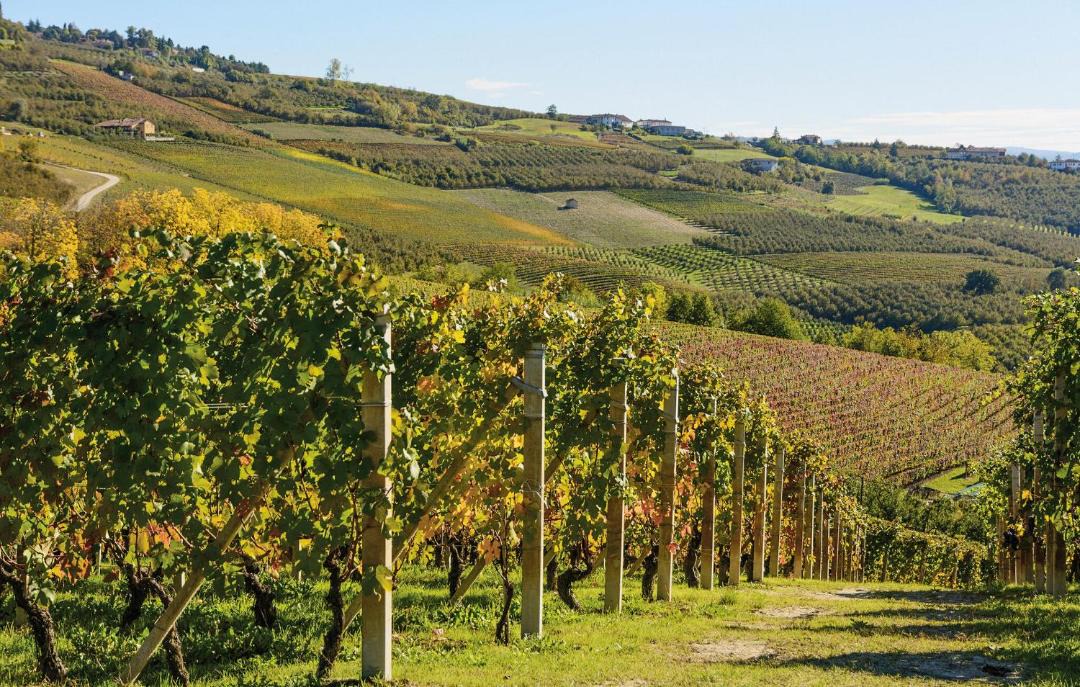 Photo of Others in San Marzano Oliveto