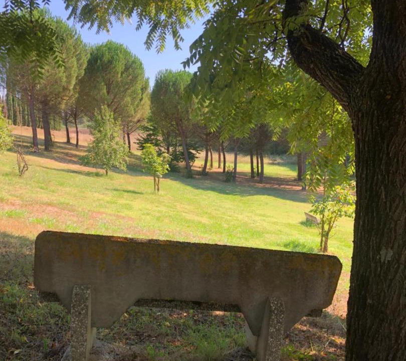 Photo of Others in Lastra a Signa