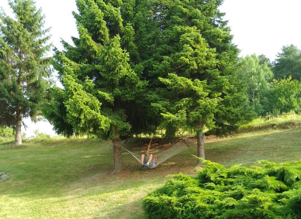 Photo of Outdoor in Ljubovija